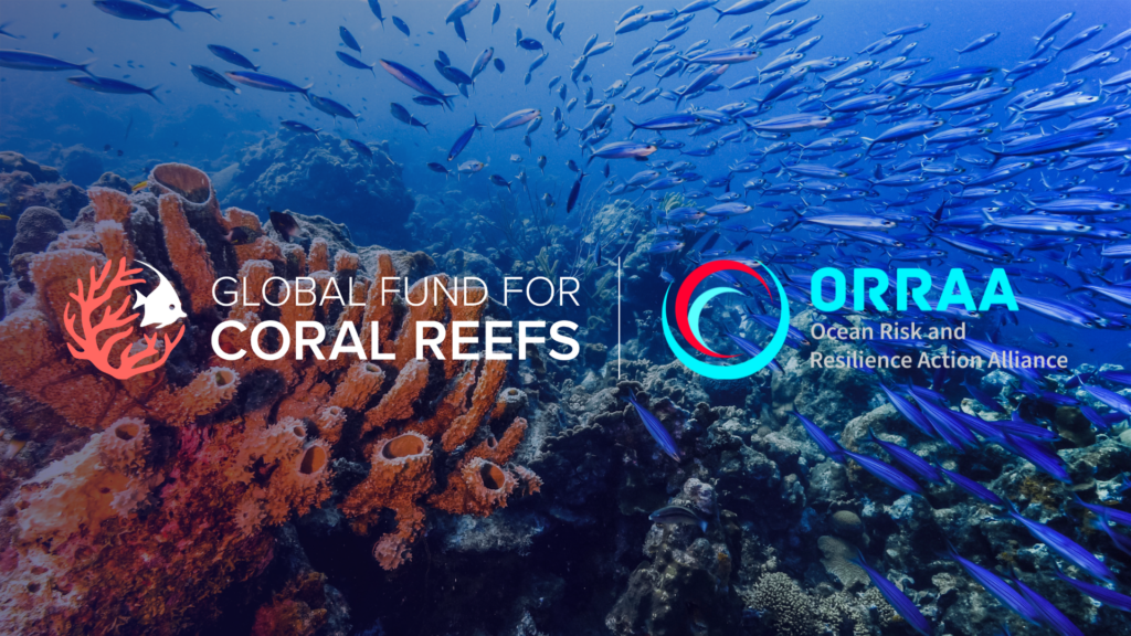 GFCR Formalises an Institutional Partnership with the Ocean Risk and ...