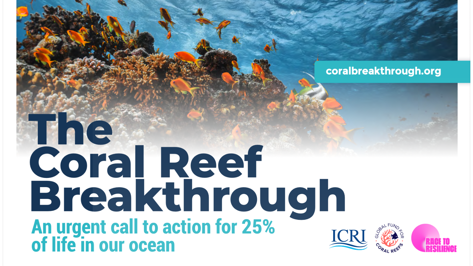 Coral Reef Breakthrough launches to prevent extinction of one of the ...