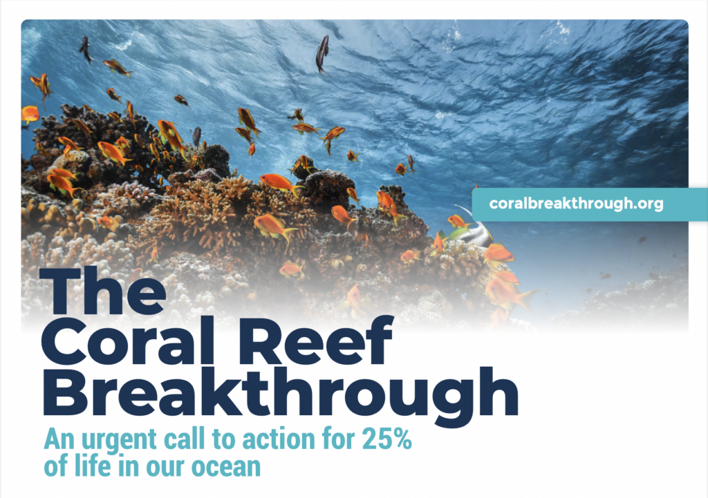 Coral Reef Breakthrough Launches To Prevent Extinction Of One Of The   Screen Shot 2023 10 03 At 9.16.36 AM 1024x721 